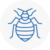 Bed Bug Extermination In Ruabon